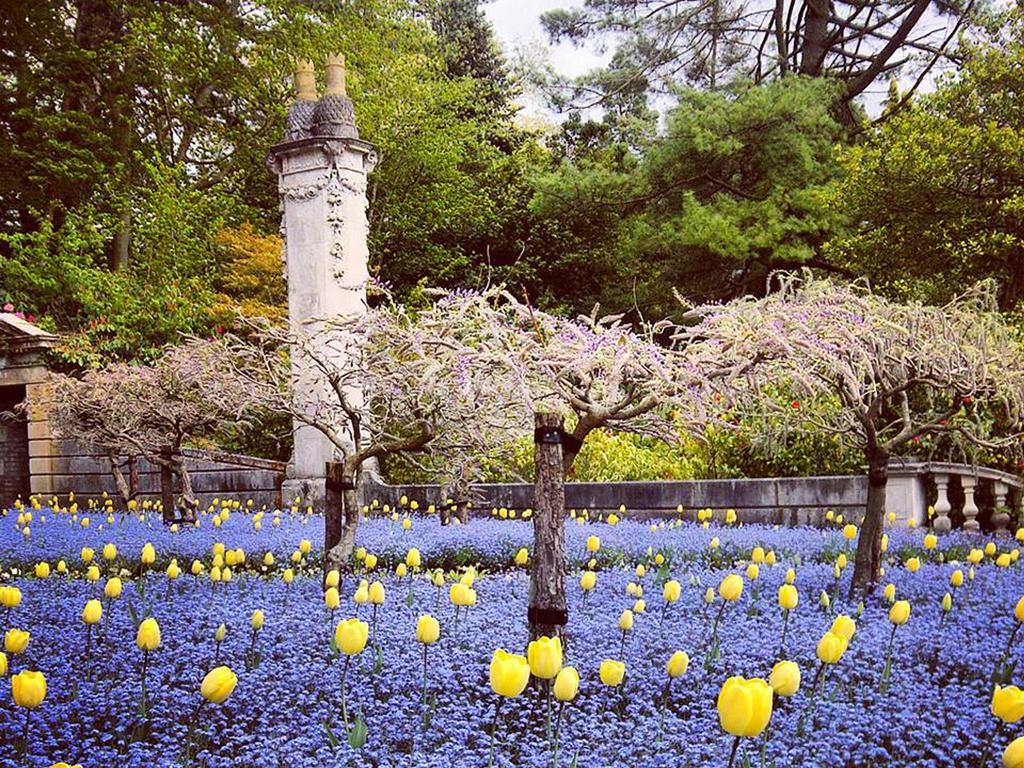 University Of Exeter - Pennsylvania Court ภายนอก รูปภาพ